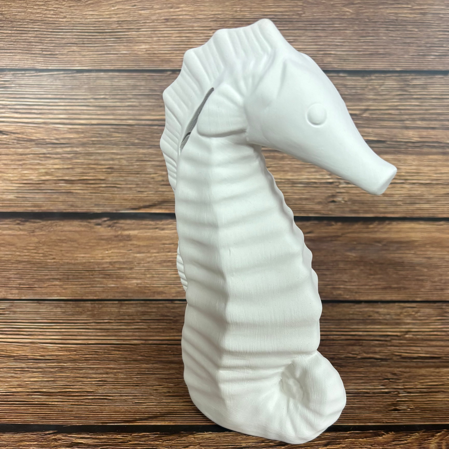 Seahorse Ceramic Bank