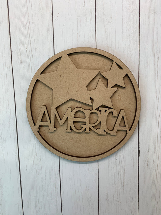 American Interchangeable Insert