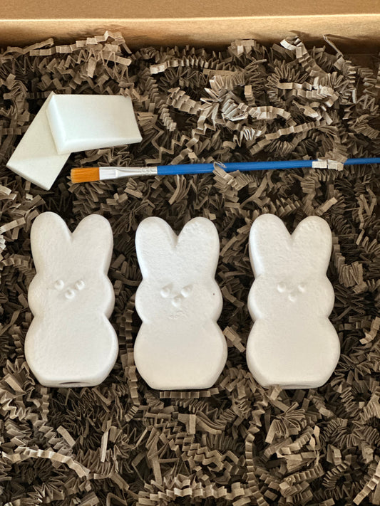 Ceramic Peeps DIY Kit