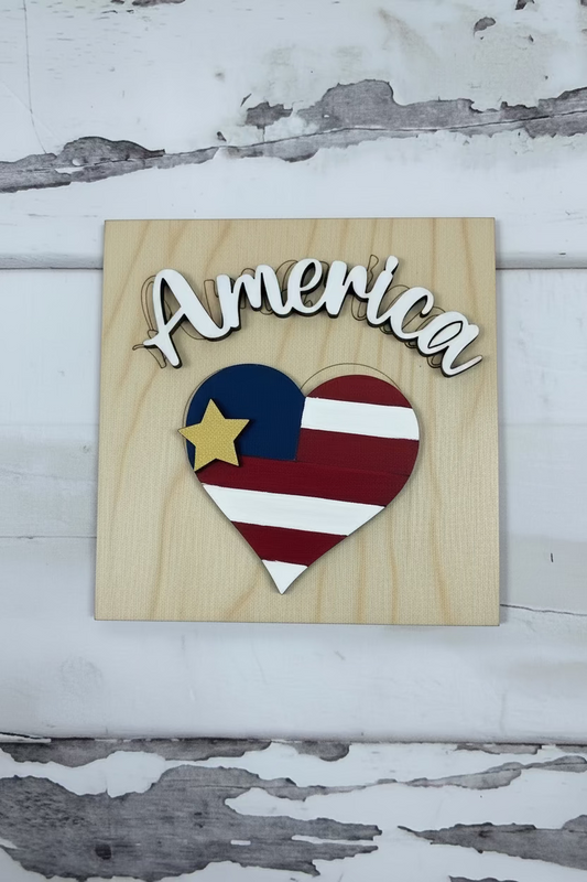 America Mini Insert