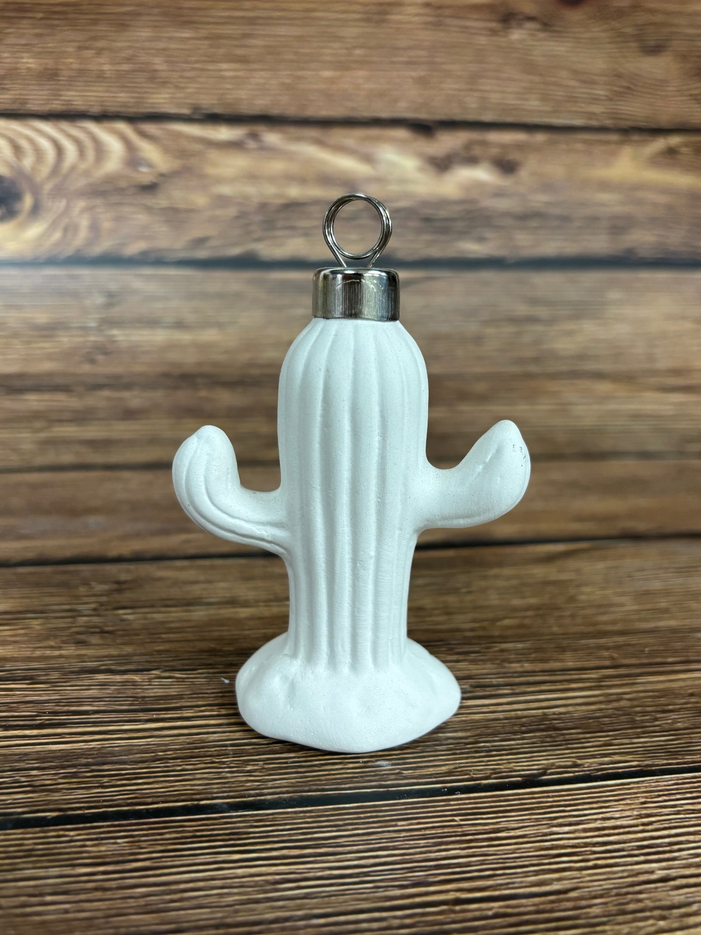 Cactus Picture Holder