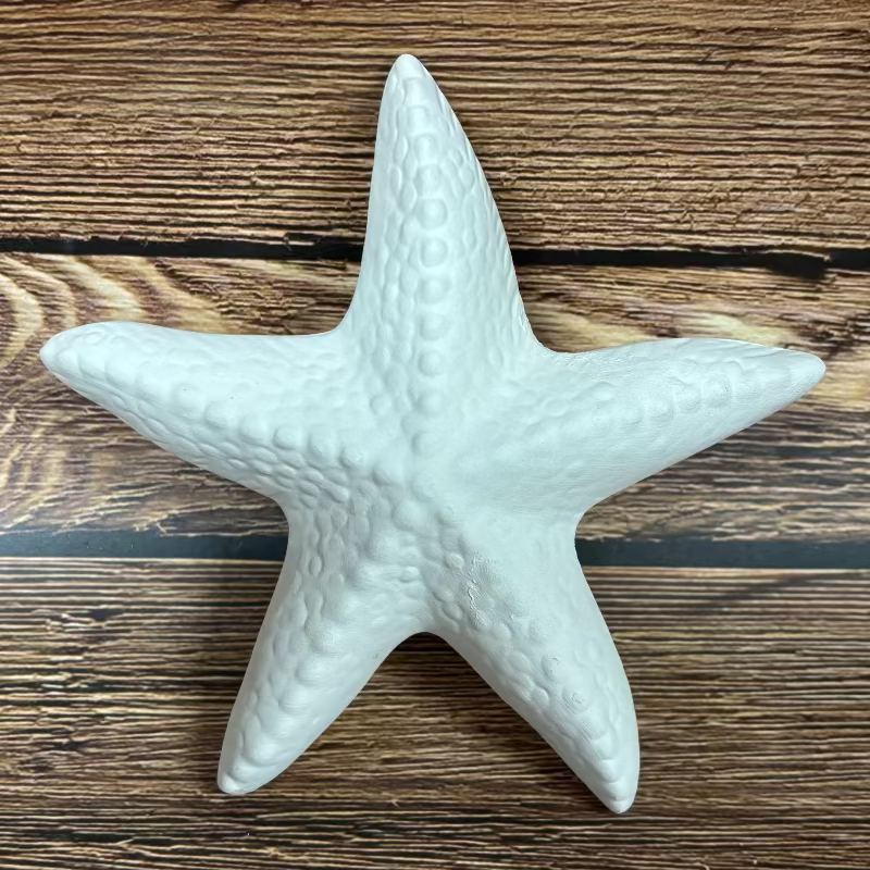 Starfish Ceramic