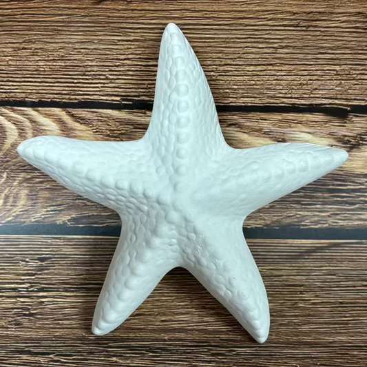 Starfish Ceramic