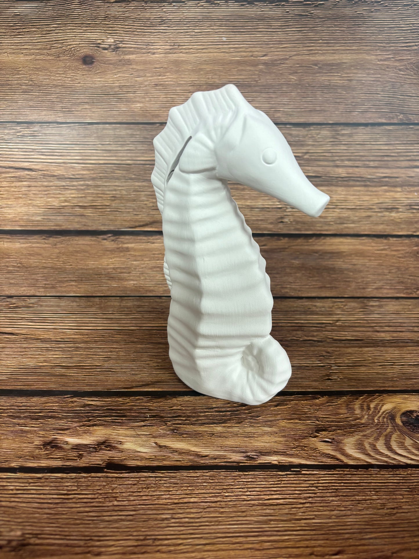 Seahorse Ceramic Bank