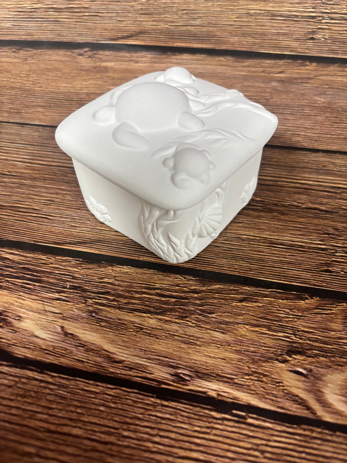 Turtle Trinket Box