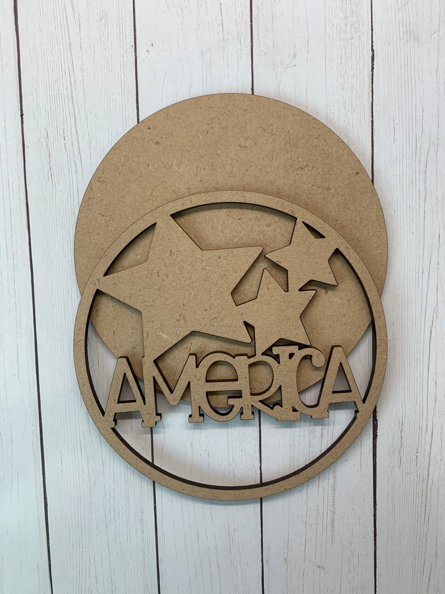 American Interchangeable Insert